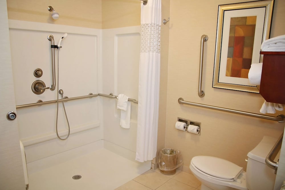 Hampton Inn Detroit Auburn Hills North - photo 28