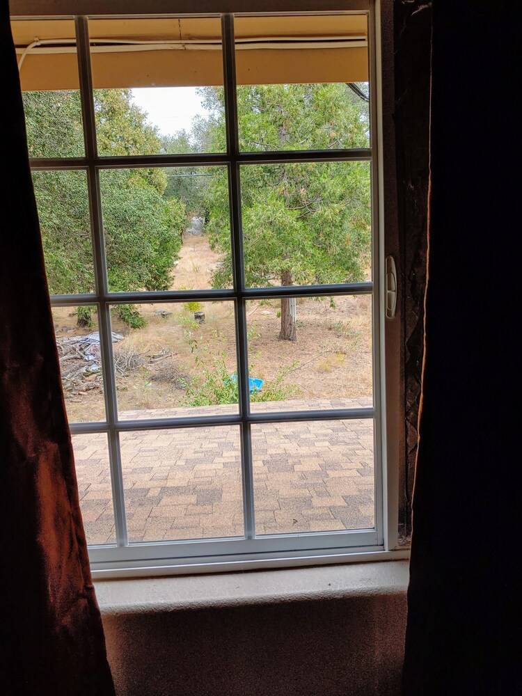Bird Watcher Inn - photo 17