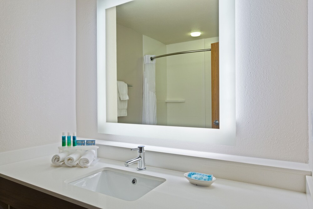 Holiday Inn Express Hotel & Suites Tavares Leesburg by IHG - photo 19