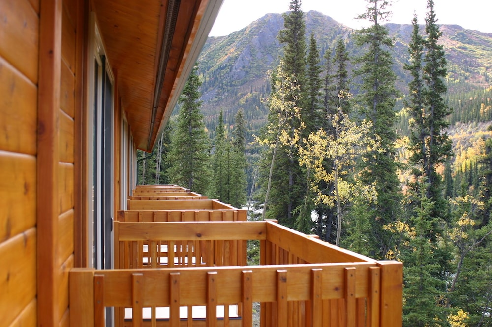 Denali Grizzly Bear Resort - photo 15