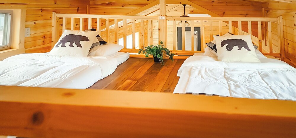 Blue Buffalo Resort - photo 3