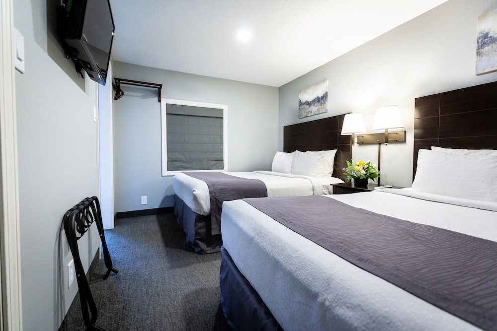 Mt Madison Inn & Suites - photo 21