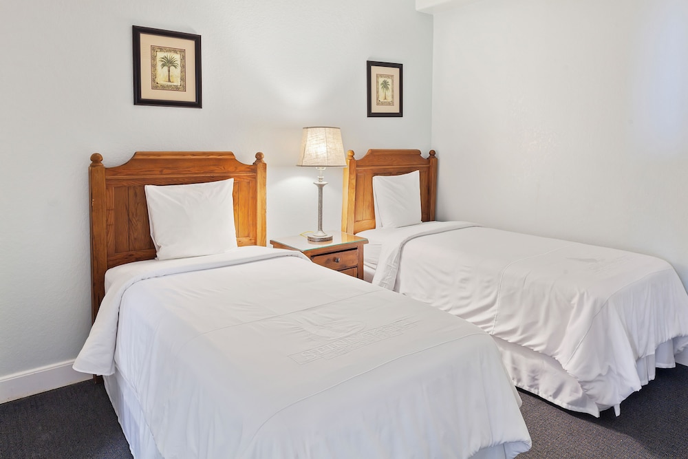 Royal Floridian South by Spinnaker - photo 8