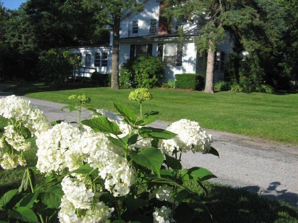 White Blossom House Inn - photo 27