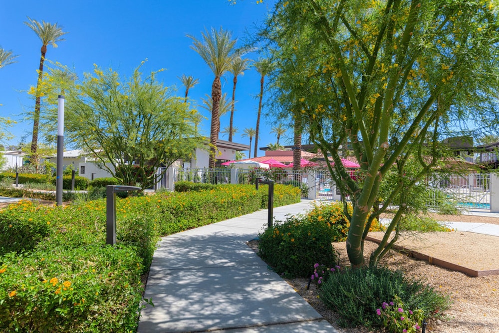 The Paloma Resort - photo 60