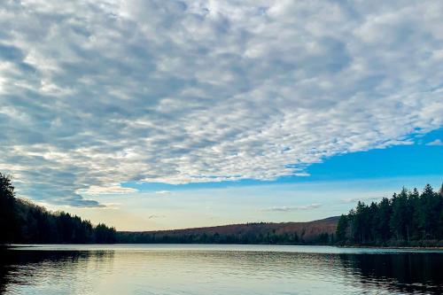Secluded Sanctuary in Stratford, United States