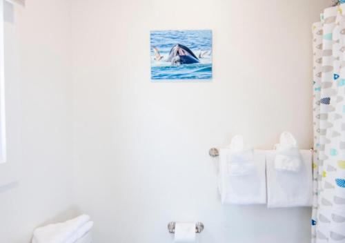 Truro Beach Cottages - photo 61