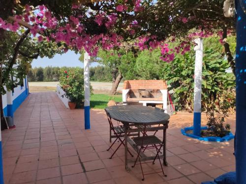 Monte Casa Nova Balsa 21792160 — Almograve