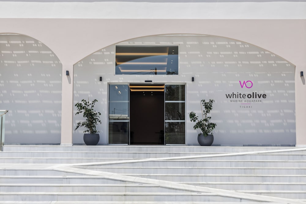 מראה חיצוני