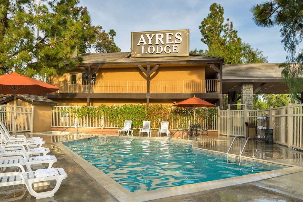 Ayres Lodge Alpine - photo 8