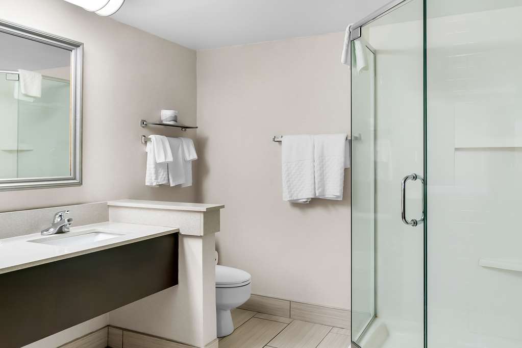 Best Western Okemos East Lansing Hotel & Suites - photo 22