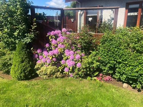 Charming Private Home with Hot Tub and Esja Mountain View