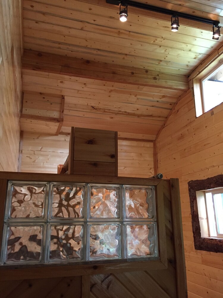 A Walden's Pond - photo 29