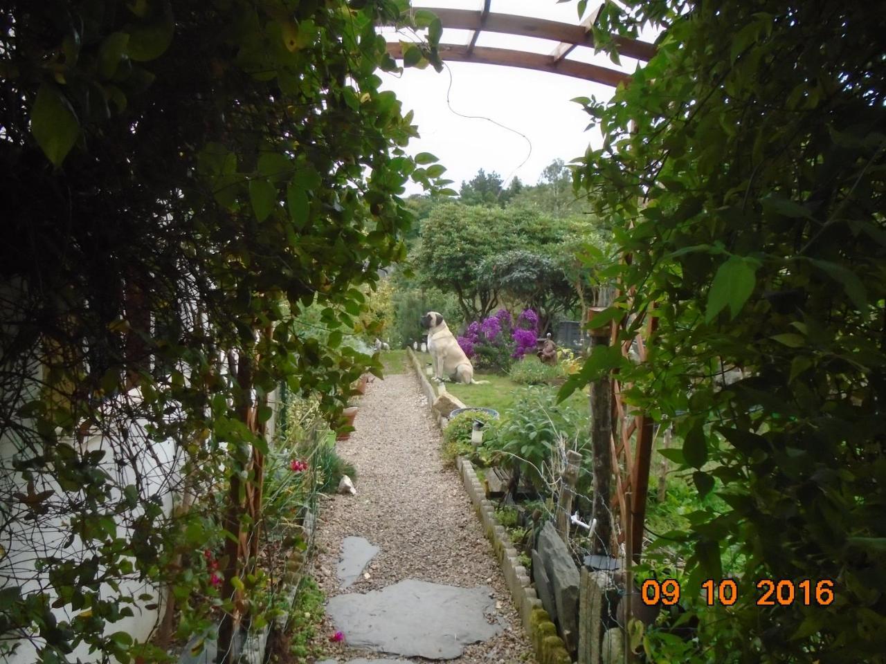 La Mare Aux Fees — hotel in Huelgoat