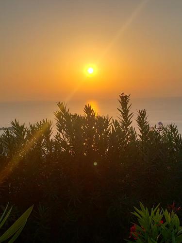 Sunrise — 4-Star Luxury Hotel in Poros, Greece