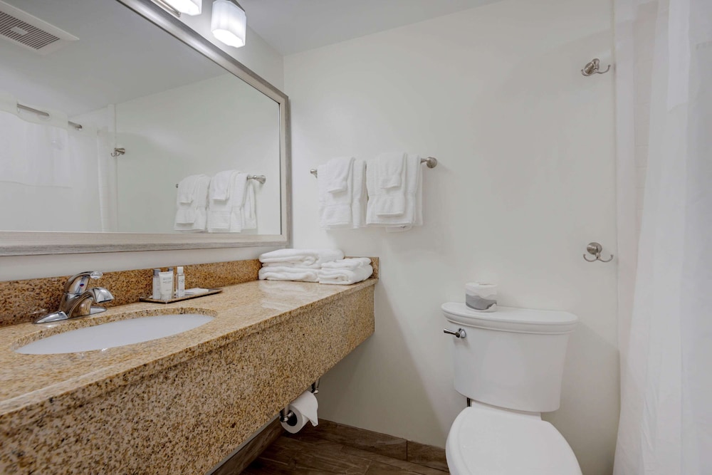 Port Inn Bar Harbor Ascend Hotel Collection - photo 36