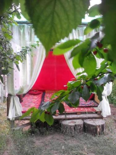 Guest House Dinara 17664791 — Kadzhi Say