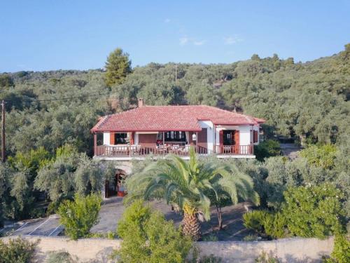 Olive Grove House — Kalamos — photo 2