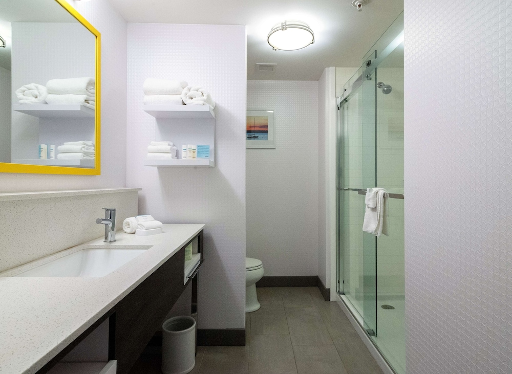 Hampton Inn & Suites Allen Park - photo 17