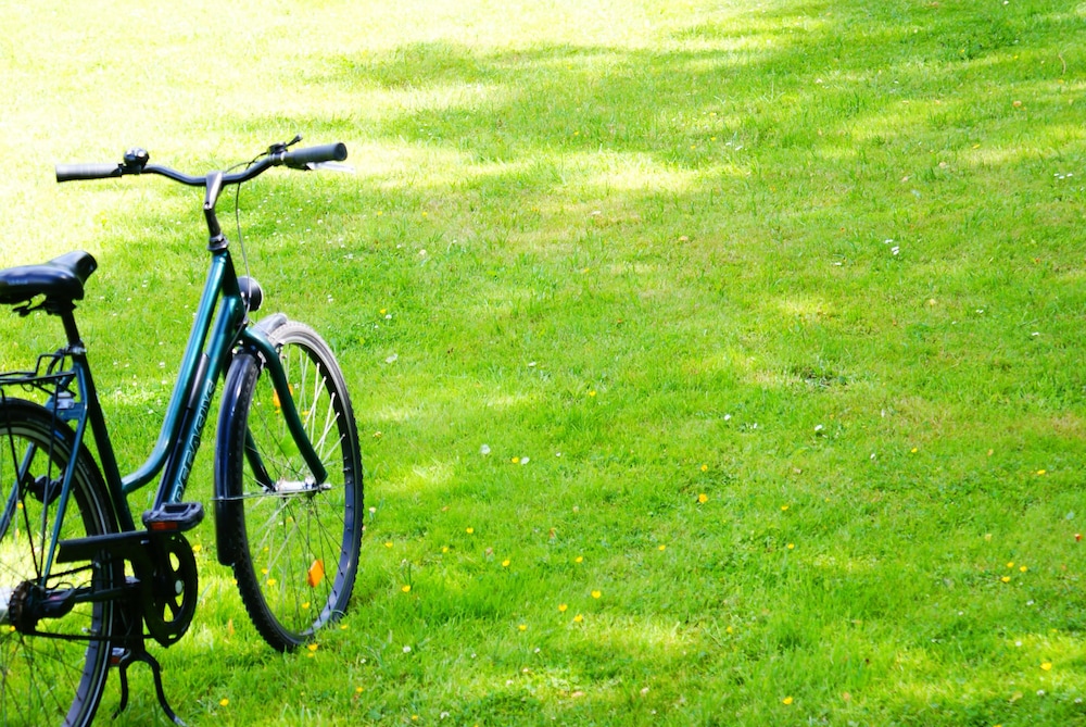 פעילויות וכושר