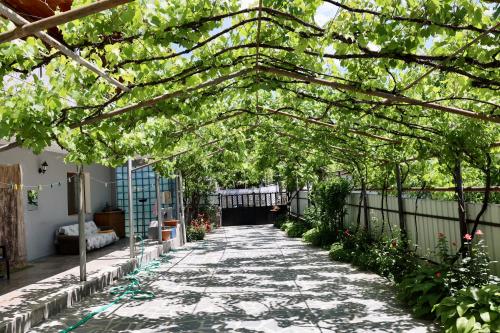 Borjomi Wood Edge in Borjomi, Georgia