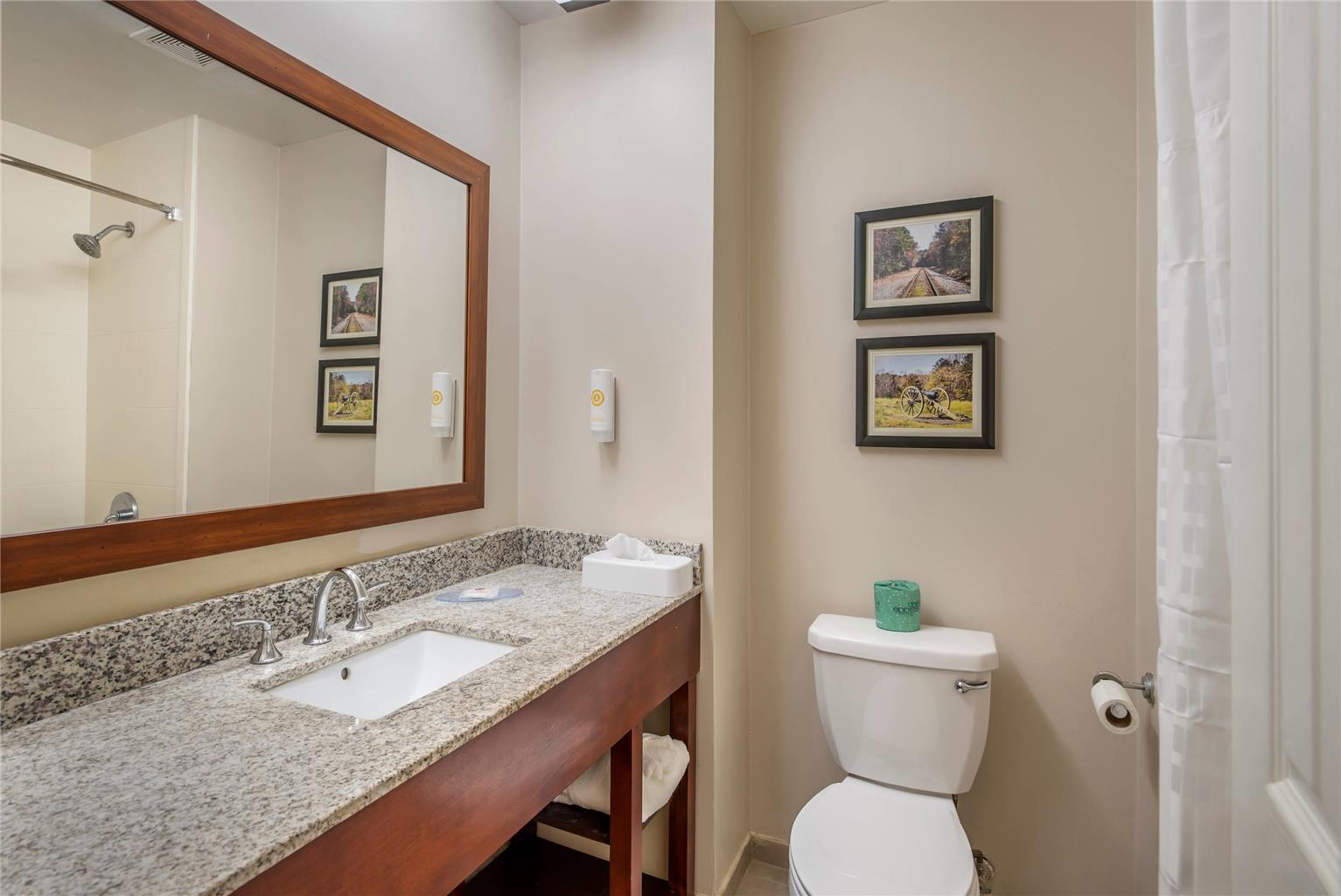 Comfort Inn Petersburg Fort Lee Area - photo 21