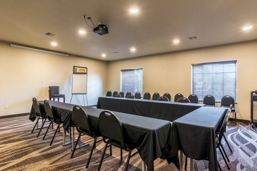 Cobblestone Hotel & Suites Greenville - photo 41