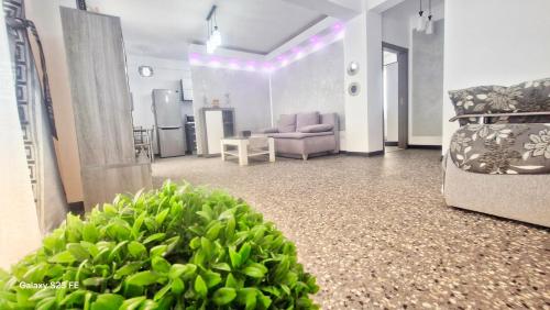 Ariana Luxury Apartament Eforie Nord — 4-Star Luxury Hotel in Eforie Nord, Romania