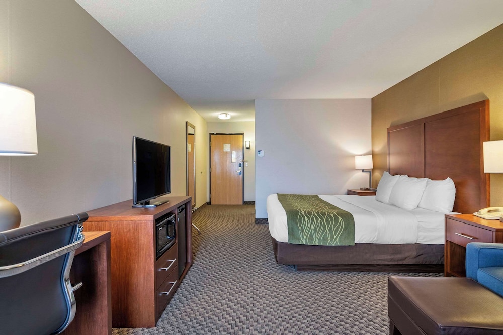 Comfort Inn Charlotte - photo 12