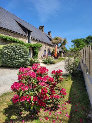 Ti Glas - last minute hotel in Grand-Champ