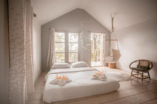 Cozy Huts - carbon neutral hotel in Trat