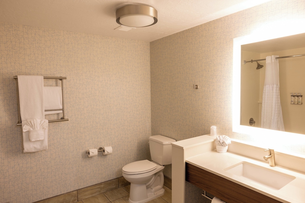Holiday Inn Express Salt Lake City Downtown by IHG - photo 11