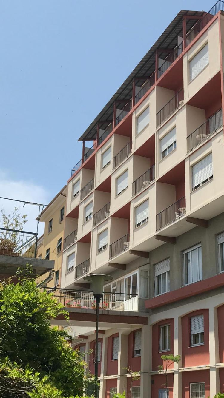 Robinia — Imperia — photo 3