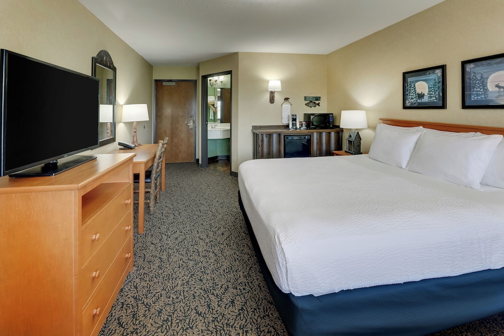 Stoney Creek Hotel La Crosse Onalaska - photo 6