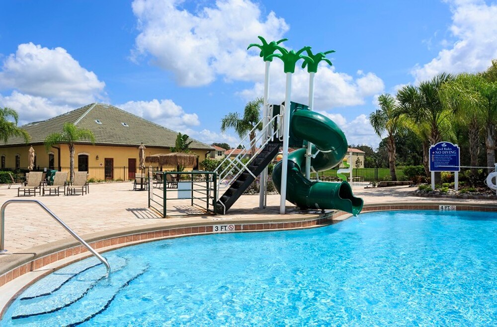 Paradise palms - photo 29