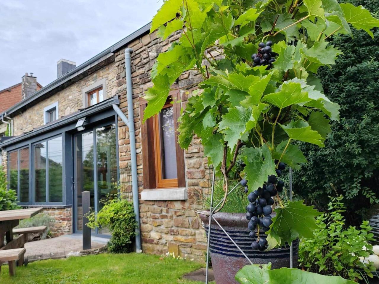 Li Pitite Magrite - carbon neutral hotel in Manhay