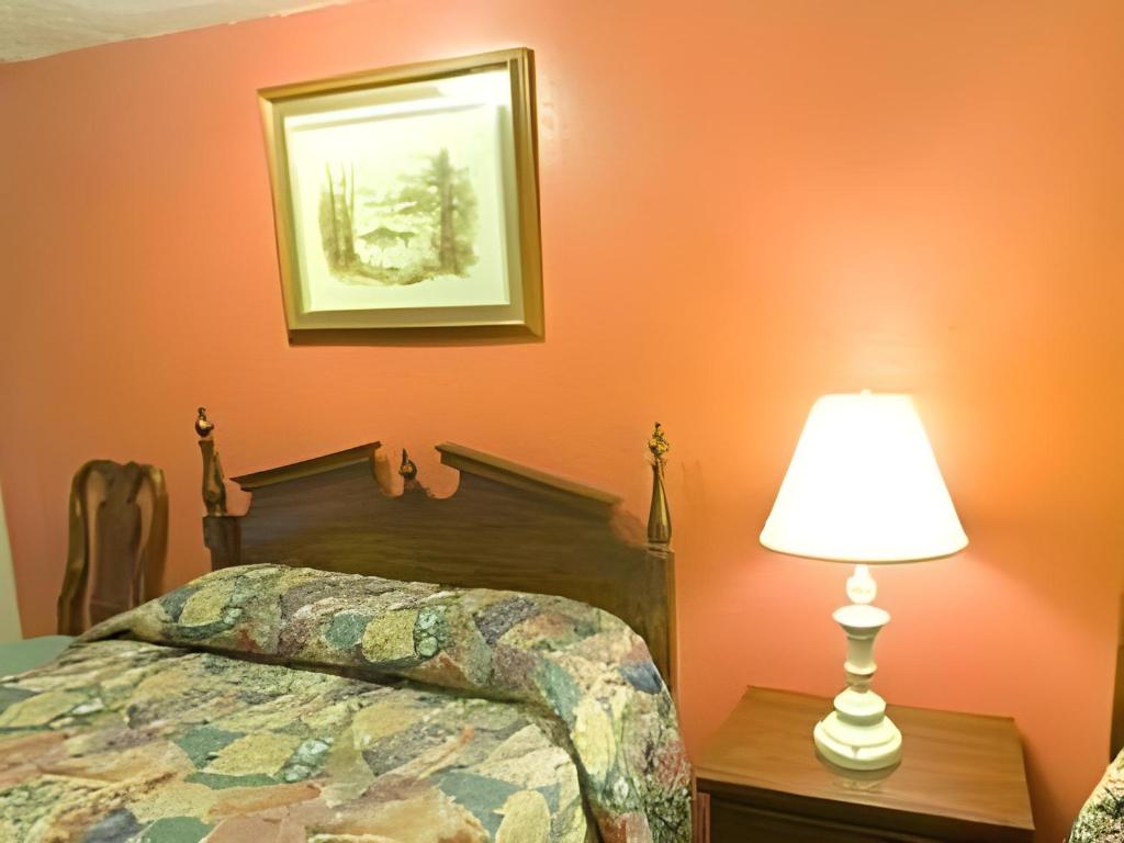 Americas Best Value Inn Lansing - photo 20