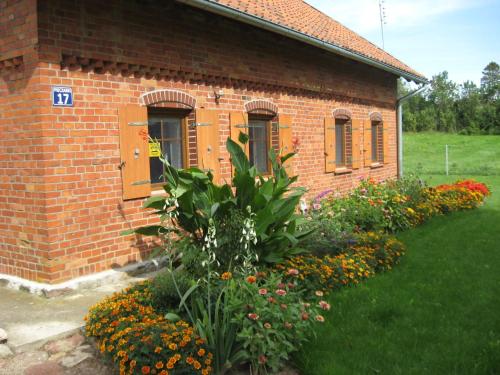 Pieczarki — Wegorzewo — photo 3
