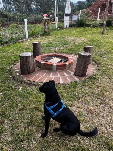 Casinha na serra para até 4 pessoas in Nova Petropolis, Brasil