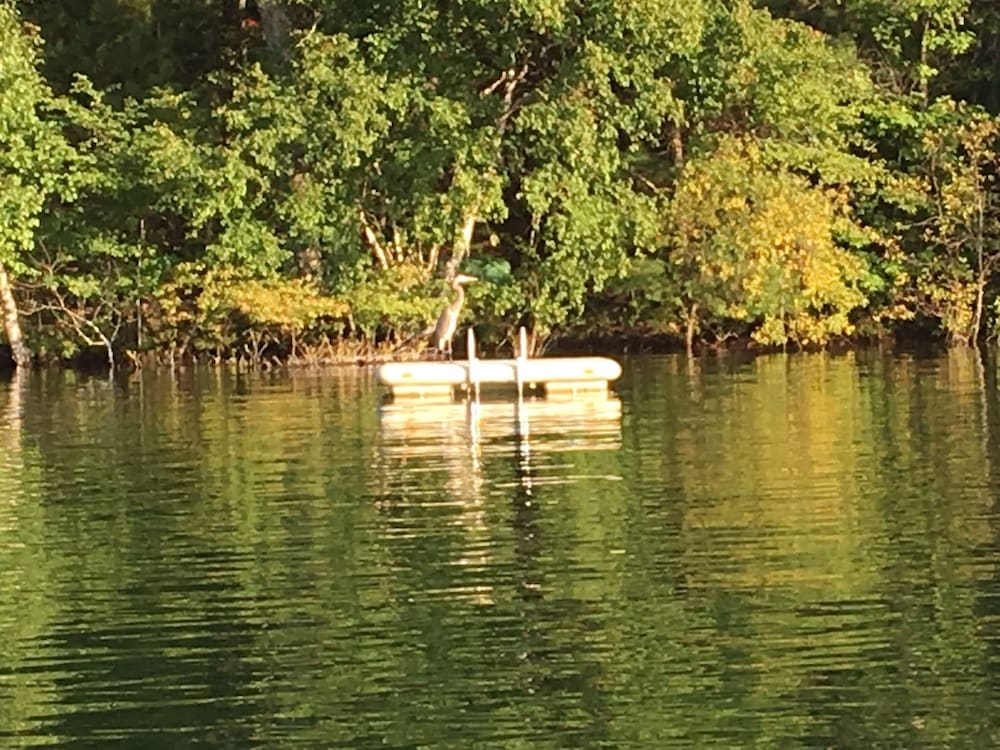 Dixon Lake Resort - photo 45