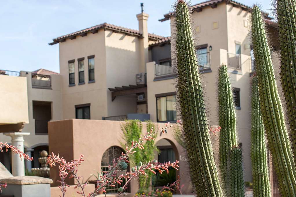 Bluegreen Vacations Cibola Vista Resort and Spa an Ascend Collection Resort - photo 4
