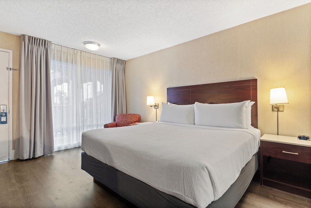 Vagabond Inn Executive San Francisco Airport - photo 21