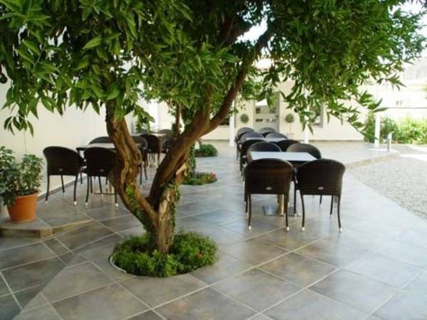 Omiros Luxury Hotel — Aidipsos — photo 4