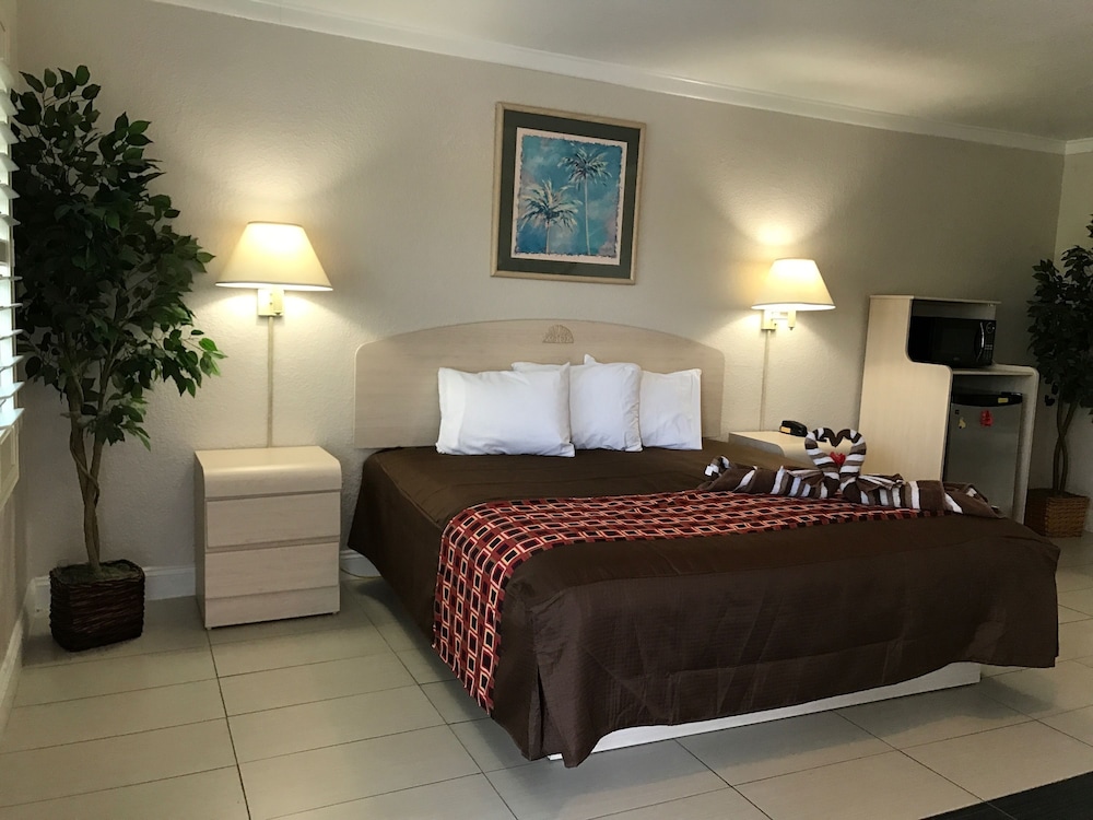Apollo Inn Motel - photo 8