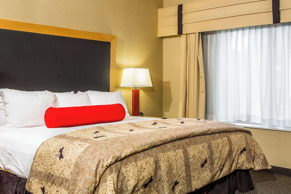 Cambria Hotel Raleigh Durham Airport - photo 23