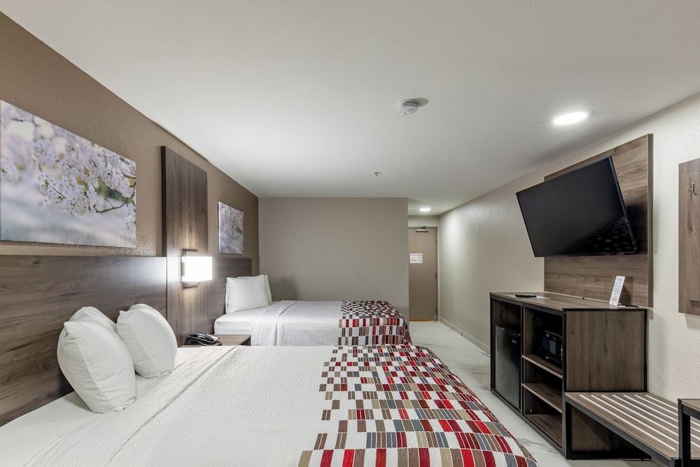Red Roof Inn Pharr McAllen - photo 12