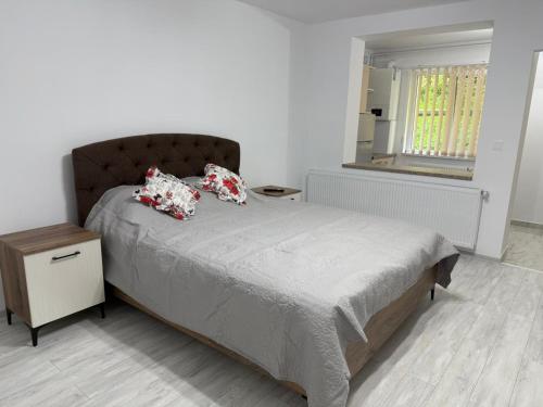 Ocna Escape 4 21740870 — Ocna Mures