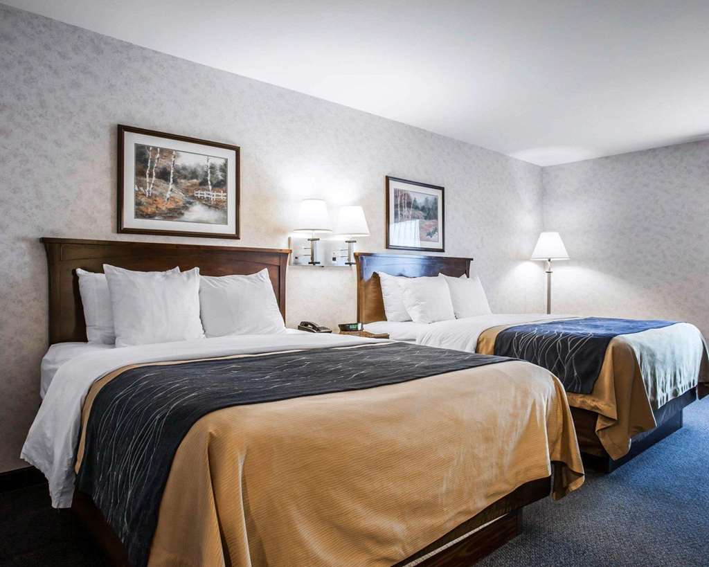 Comfort Inn Bellingham - photo 7