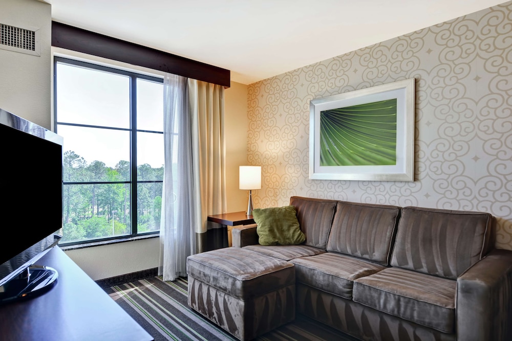 Embassy Suites by Hilton Savannah Airport - photo 20