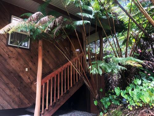 Volcano Inn - photo 25